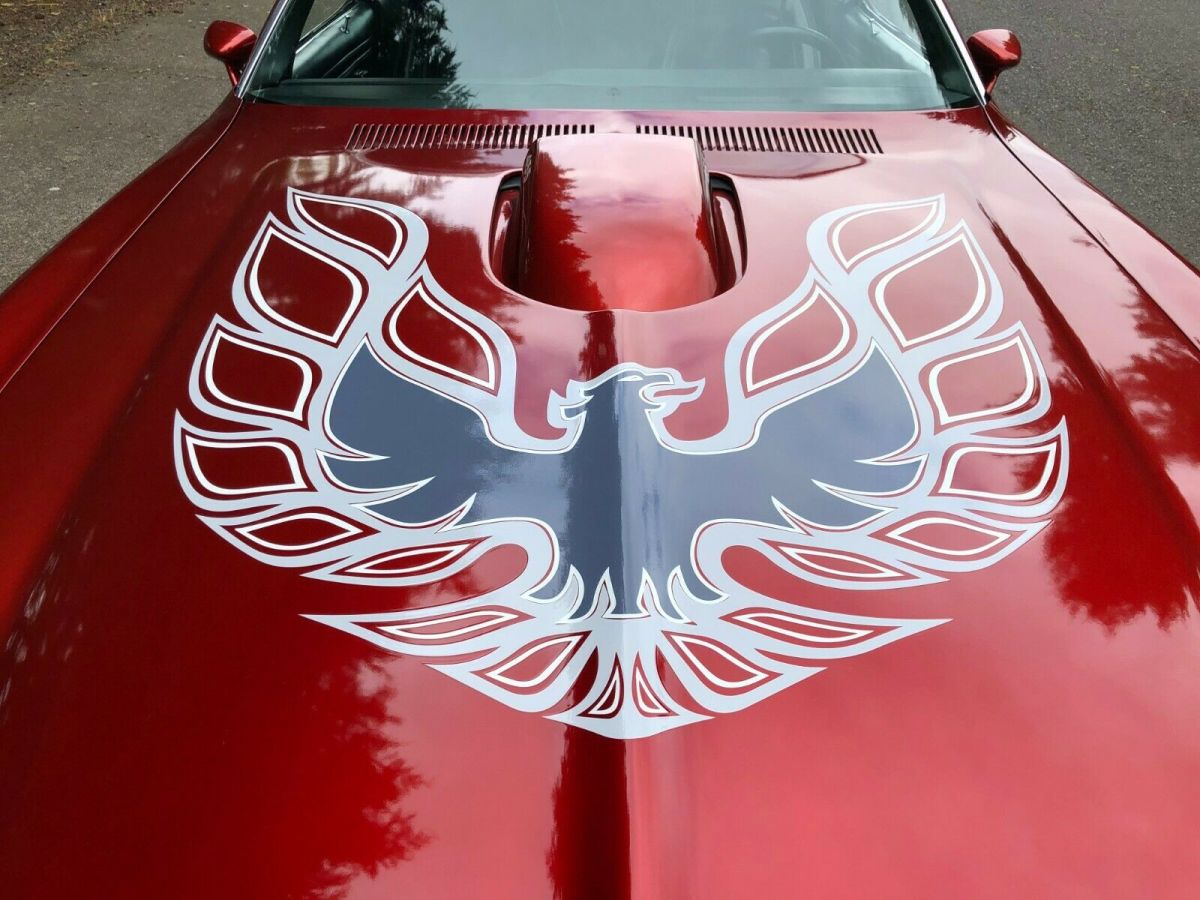 1975 Pontiac Firebird Trans Am - photo 5