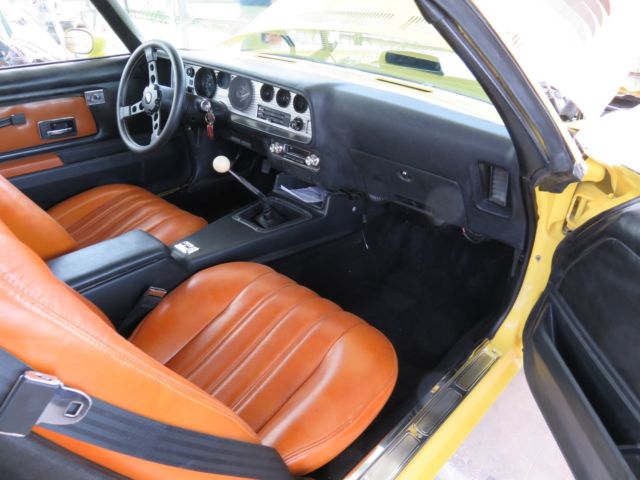 1976 Pontiac Trans Am - photo 10