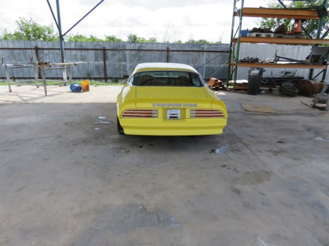 1976 Pontiac Trans Am - photo 5