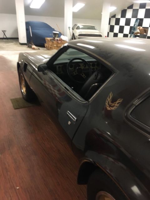 1976 Pontiac Firebird trans am - photo 4