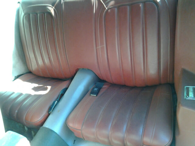 1976 Pontiac Trans Am Deluxe - photo 11