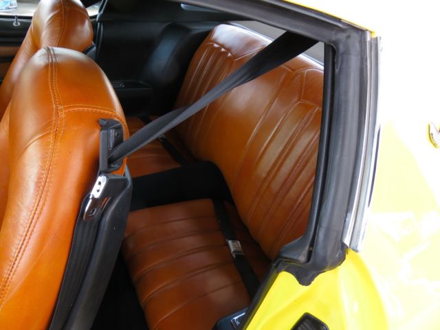 1976 Pontiac Trans Am - photo 9