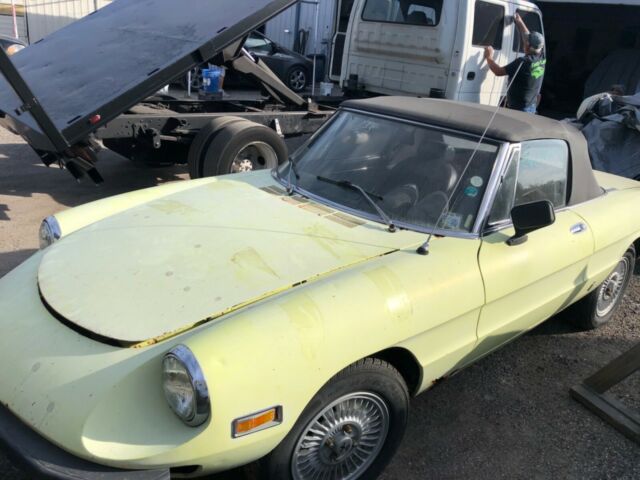 1976 Alfa Romeo Spider SPIDER - photo 2