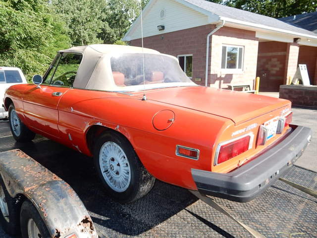 1976 Alfa Romeo Spider - photo 2