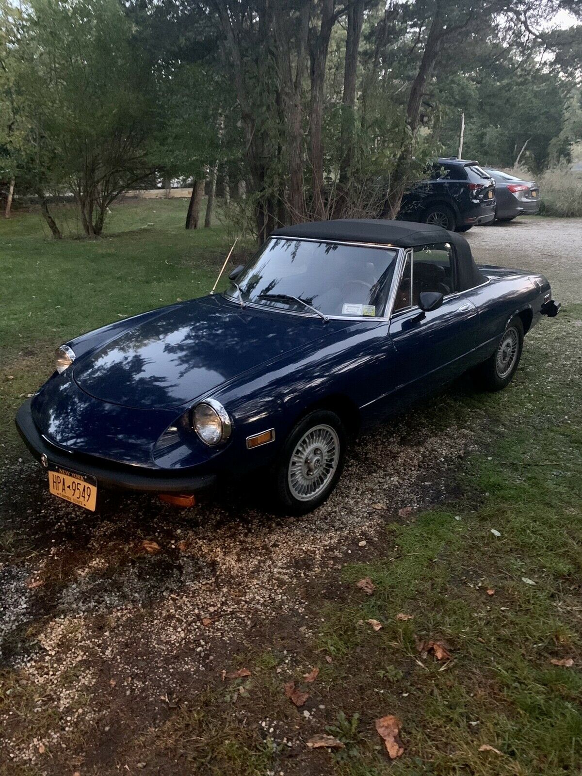 1976 Alfa Romeo Spider 2.0 - photo 5