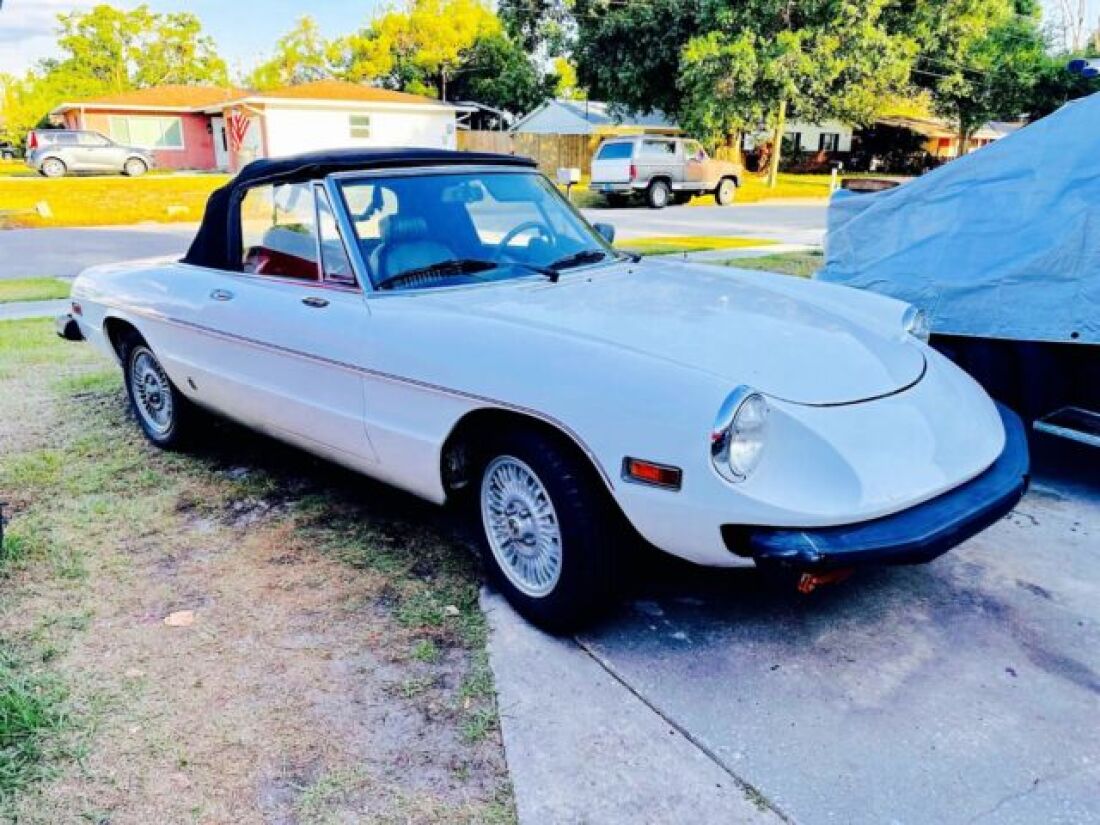 1976 Alfa Romeo Spider 2.0ltr Veloce - photo 3