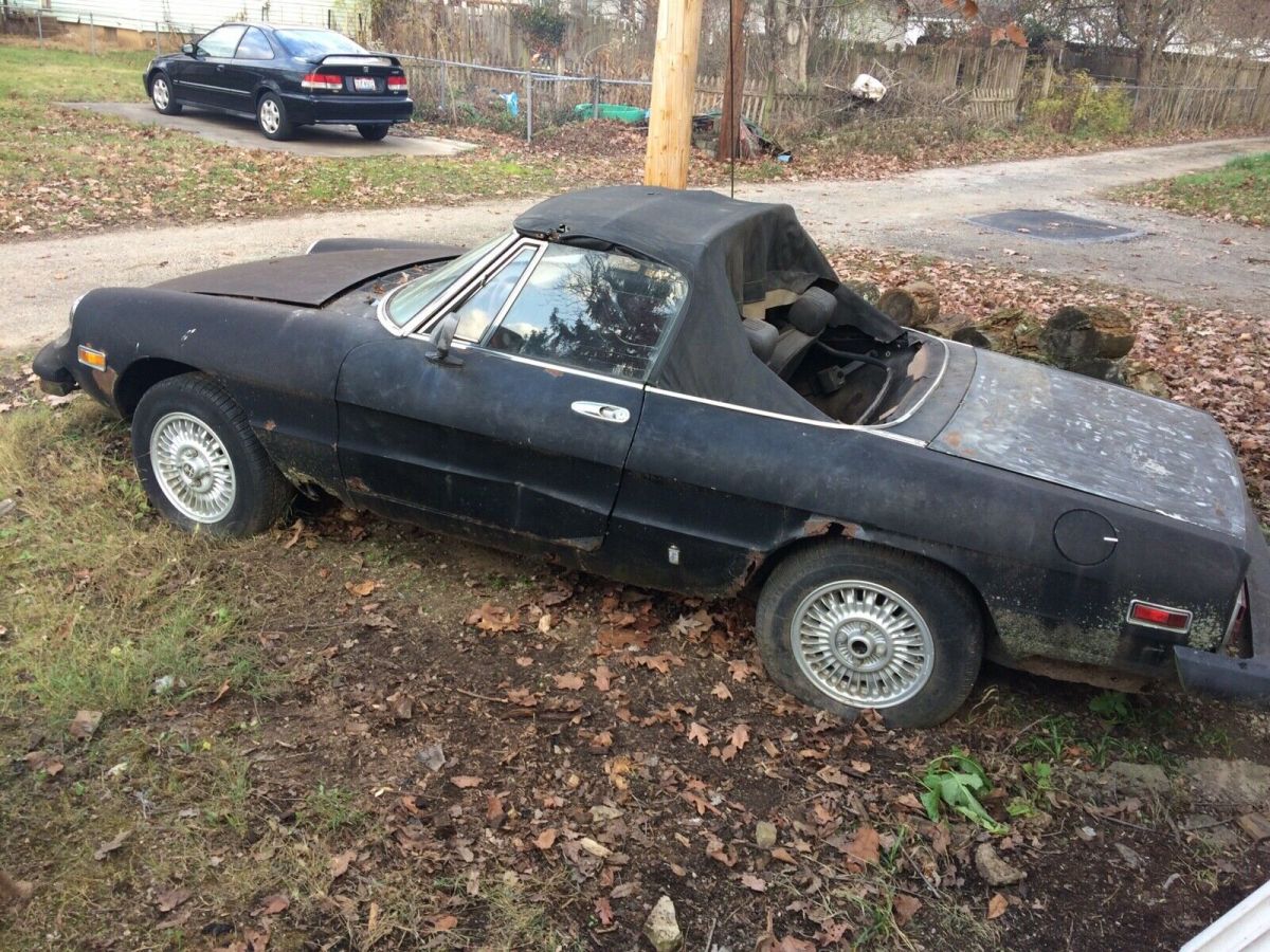 1976 Alfa Romeo Spider