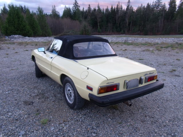 1976 Alfa Romeo Spider Convertible - photo 2