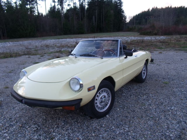 1976 Alfa Romeo Spider Convertible - photo 5