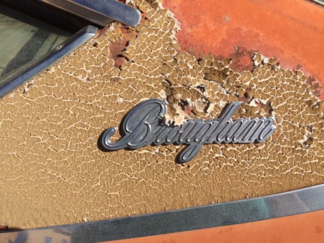 1976 AMC Other Brougham - photo 10