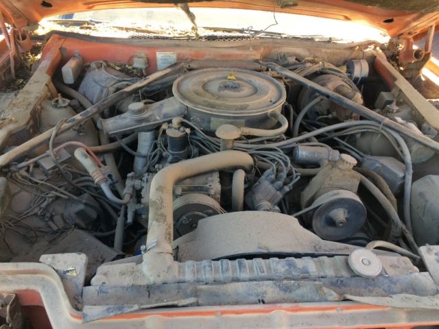 1976 AMC Other Brougham - photo 12