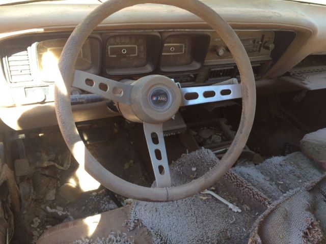 1976 AMC Other Brougham - photo 7
