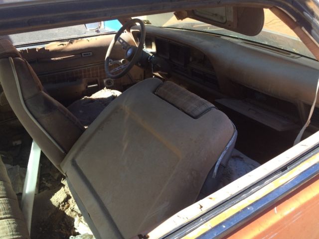1976 AMC Other Brougham - photo 8