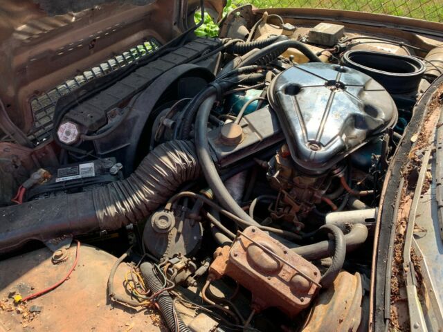 1979 AMC Pacer Limited - photo 11