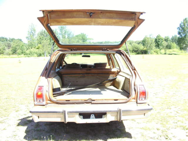 1976 Dodge Aspen - photo 11