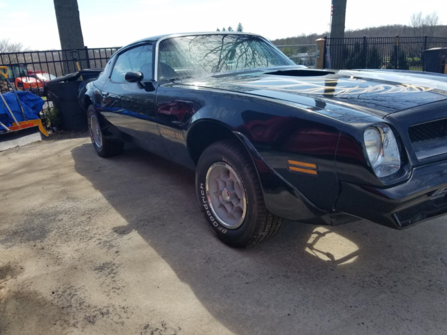 1976 Black Trans am 455 4-speed Red interior 1976 Pontiac Trans Am 2 DOOR
