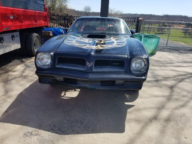 1976 Pontiac Trans Am 2 DOOR - photo 2
