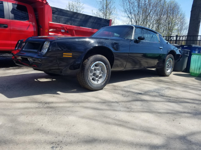 1976 Pontiac Trans Am 2 DOOR - photo 3