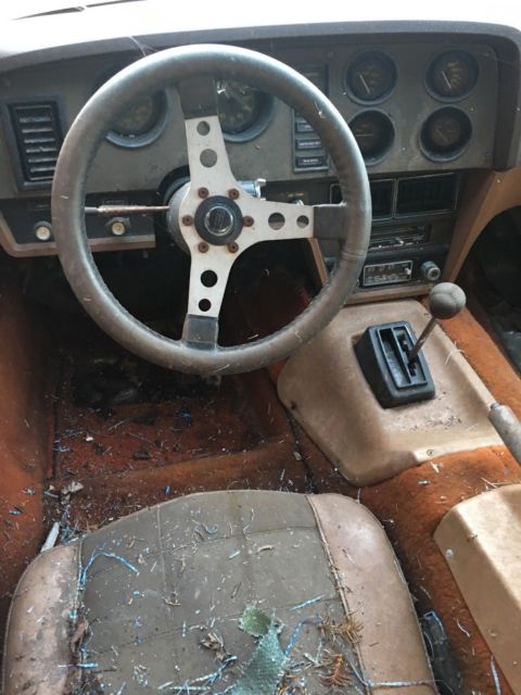 1976 Other Makes SV1 SV1 - photo 4