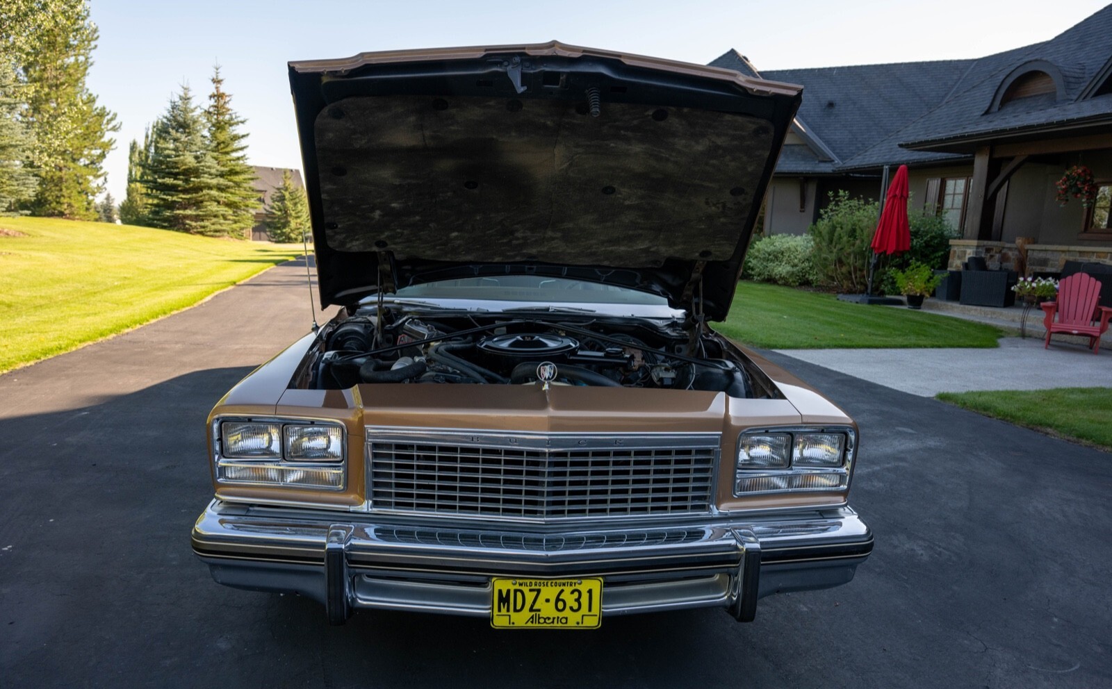 1976 Buick LeSabre - photo 8