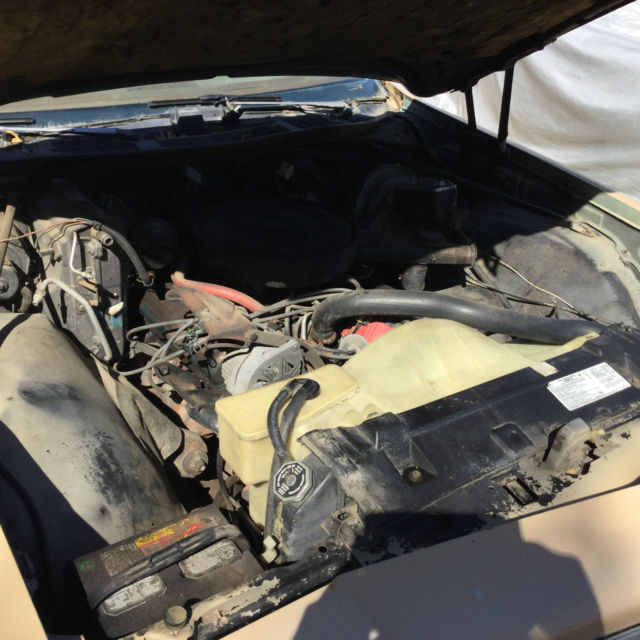 1976 Buick Regal  Landau - photo 11