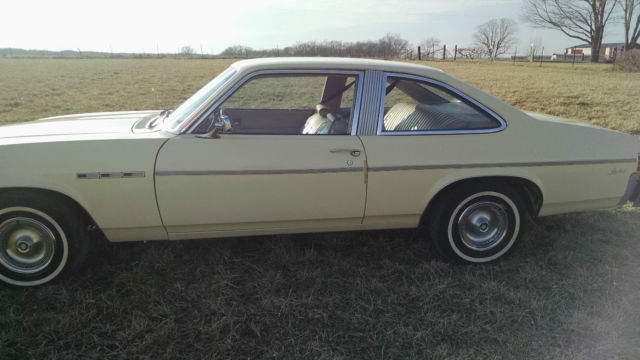 1976 Buick Skylark - photo 2