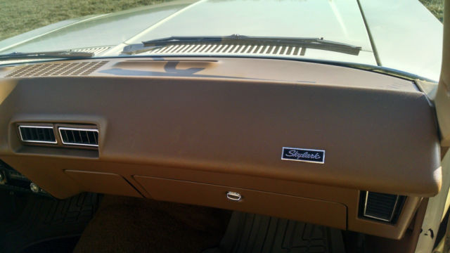 1976 Buick Skylark - photo 9