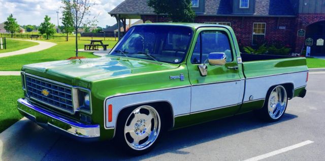1976 Chevrolet Other Pickups SCOTTSDALE - photo 2