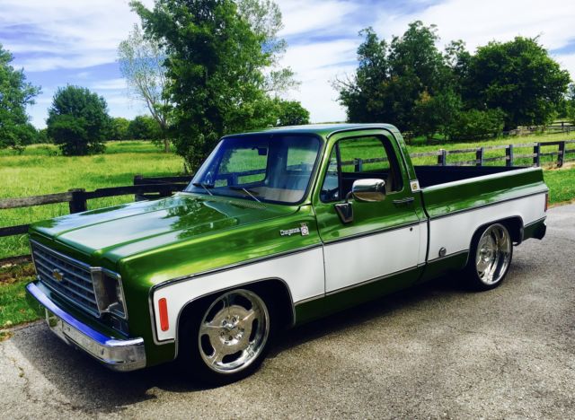 1976 Chevrolet Other Pickups SCOTTSDALE - photo 3