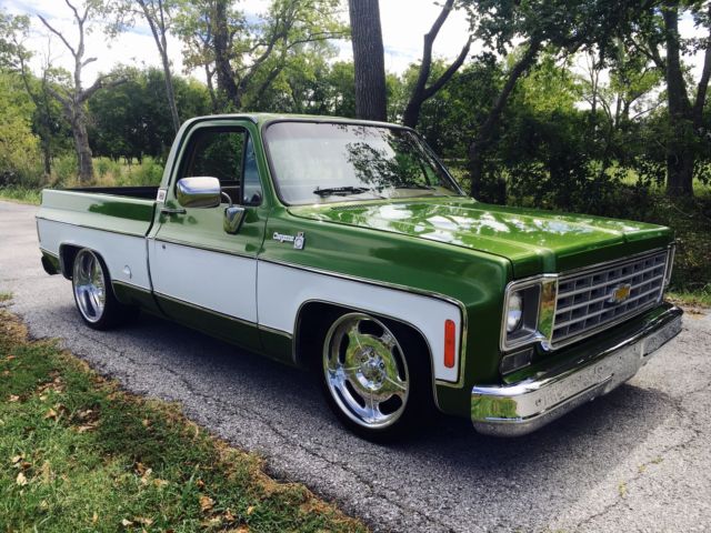 1976 Chevrolet Other Pickups SCOTTSDALE - photo 4