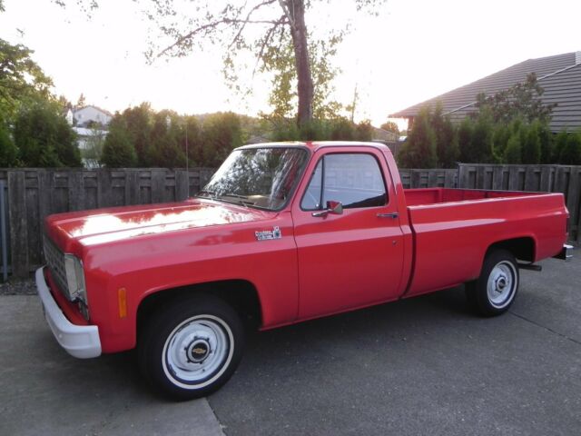 1976 Chevrolet C-10 C-10 - photo 2