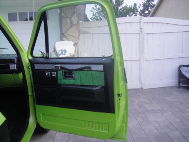1976 Chevrolet Other Pickups - photo 13