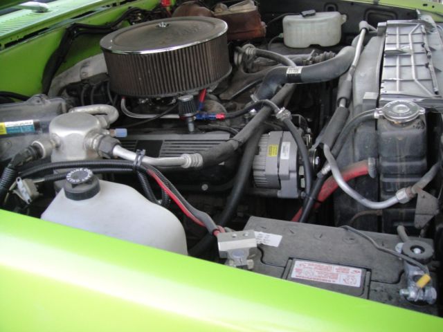 1976 Chevrolet Other Pickups - photo 5