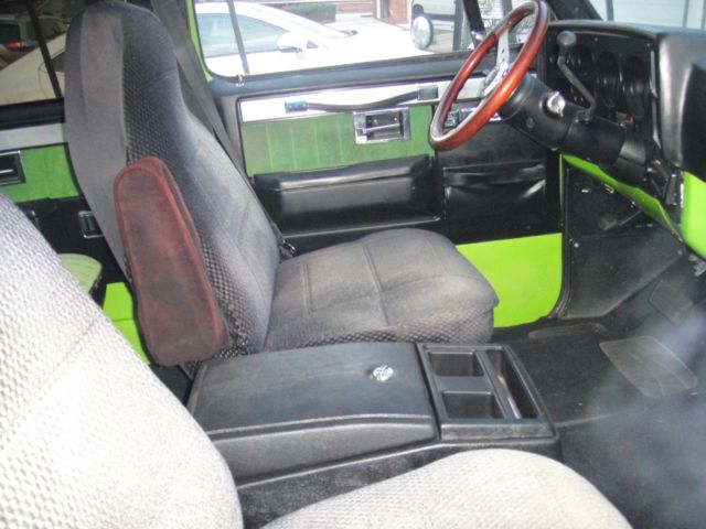 1976 Chevrolet Other Pickups - photo 8