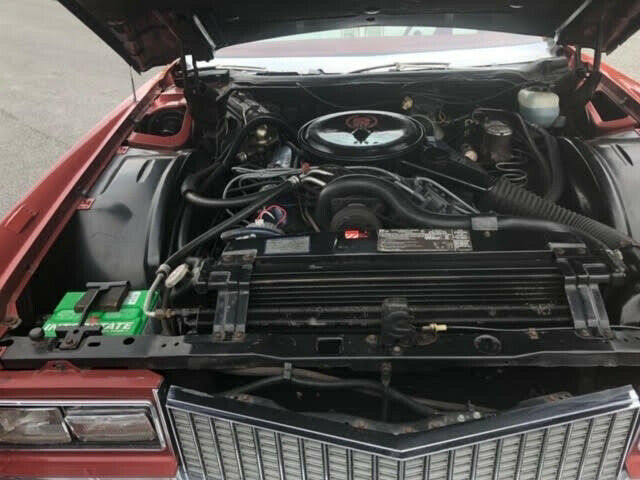 1976 Cadillac Eldorado Convertible 14,200 Original Miles - photo 6