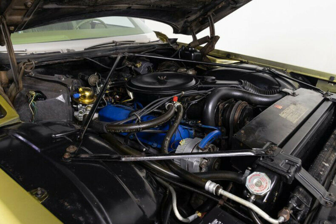 1976 Cadillac Fleetwood Fleetwood Brougham - photo 3