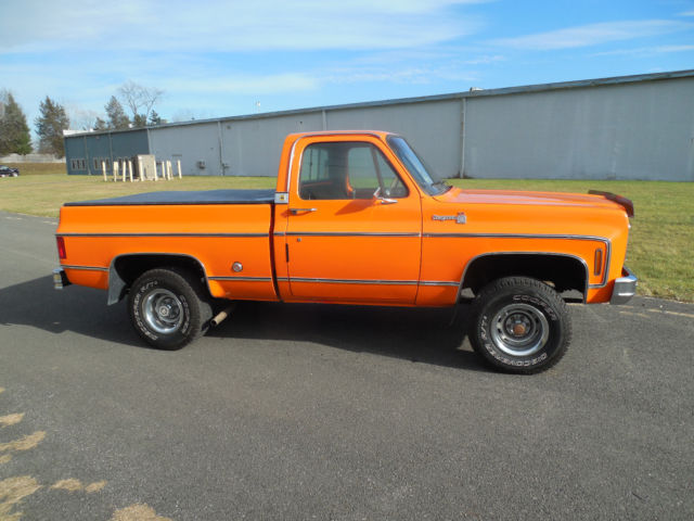 1976 Chevrolet Cheyenne Cheyenne - photo 10