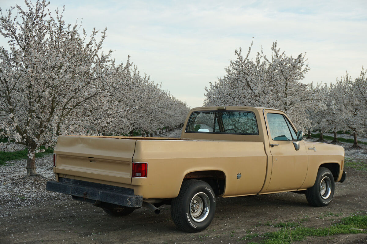 1976 Chevrolet C-10 Scottdale - photo 10
