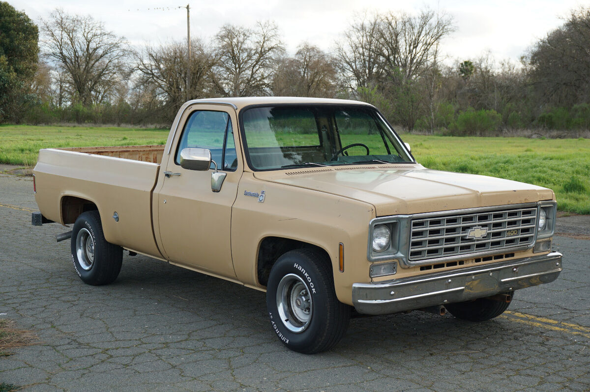 1976 Chevrolet C-10 Scottdale - photo 2