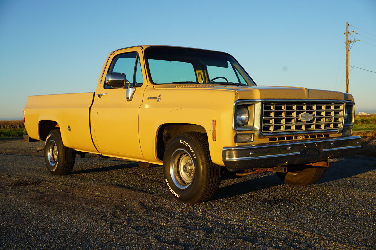 1976 Chevrolet C-10 Scottdale - photo 3