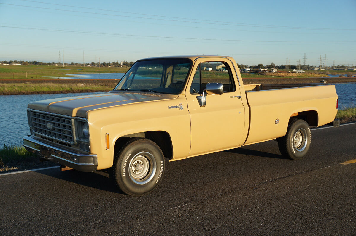 1976 Chevrolet C-10 Scottdale - photo 4