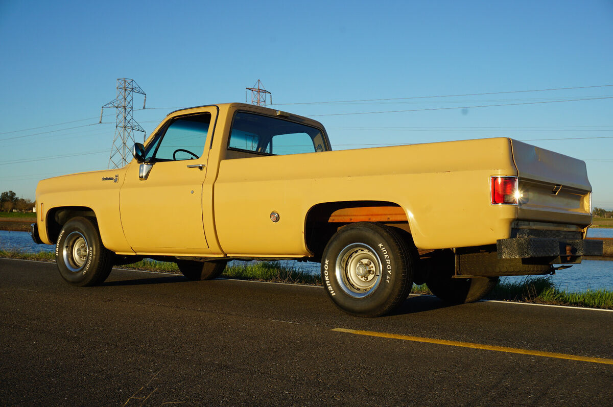 1976 Chevrolet C-10 Scottdale - photo 9
