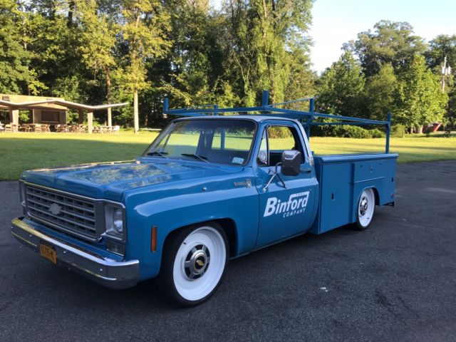 1976 Chevrolet C-10 scottsdale 30 - photo 2