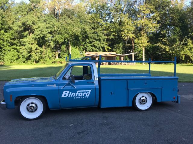 1976 Chevrolet C-10 scottsdale 30 - photo 3