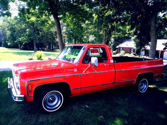 1976 Chevrolet C-10 Cheyenne - photo 6