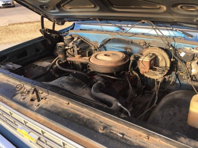 1976 Chevrolet C-10 Bonanza/Spirit of '76 - photo 8