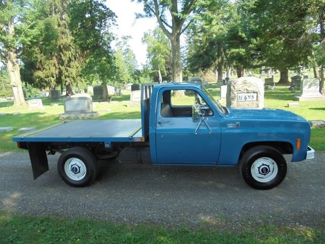 1976 Chevrolet Other Pickups - photo 3