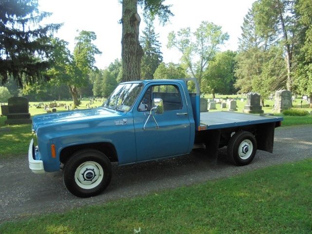 1976 Chevrolet Other Pickups - photo 4