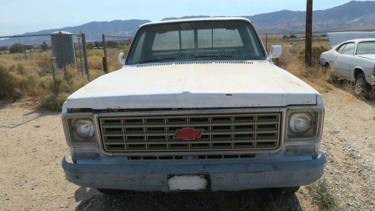 1976 Chevrolet Other Pickups SCROLL DOWN CLICK READ MORE TO VIEW MORE PICS! - photo 2