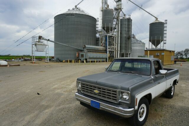 1976 Chevrolet Silverado 2500 - photo 5